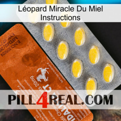 Léopard Miracle Du Miel Instructions 42